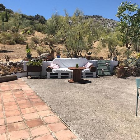 Cortijo Nuevo Alojamiento Rural Cuevas del Becerro Exterior foto